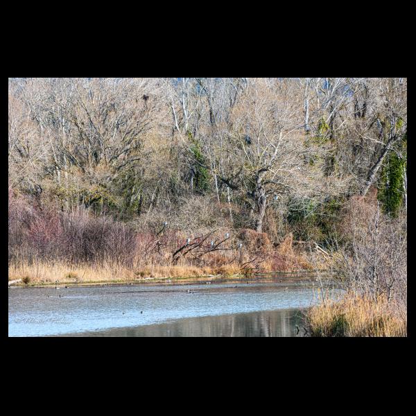 PHOTO84, CLUB, 84 , LUBERON